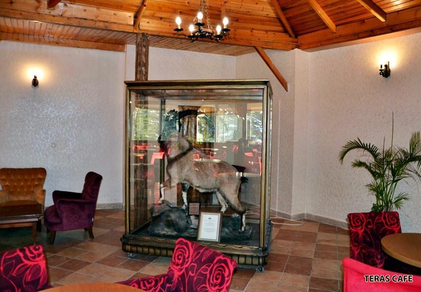 Patalya Thermal Resort Hotel Kızılcahamam Εξωτερικό φωτογραφία
