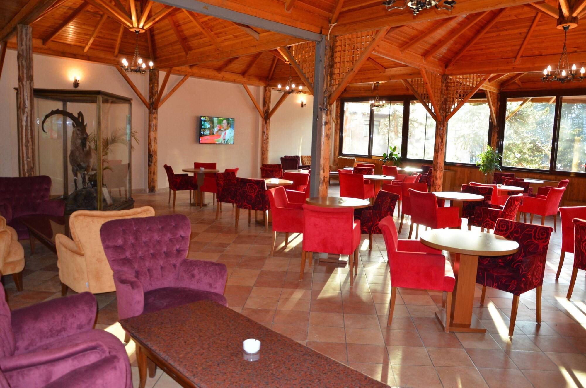 Patalya Thermal Resort Hotel Kızılcahamam Εξωτερικό φωτογραφία